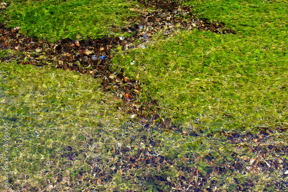 Obraz premium 醒井宿