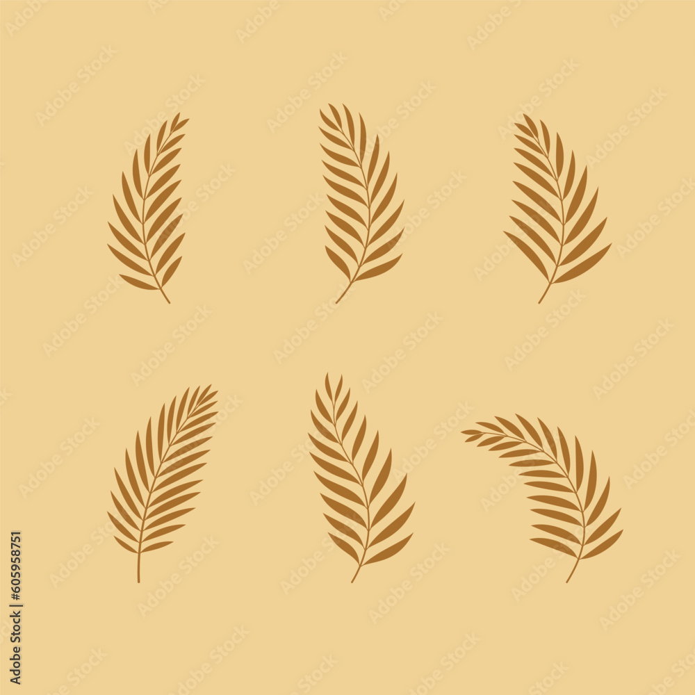 Set of palm leaves. Collection of decorative design elements. Vector illustration.