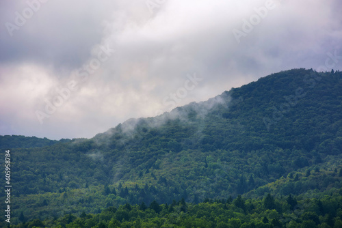 wonderful mountainous countryside at sunrise. nature freshness concept