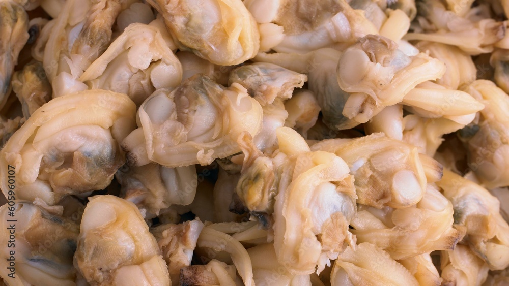 Ocean's Bounty: 4K Ultra HD Close-Up of Exquisite Clam Meat, Showcasing its Tender Texture and Delicate Flavor