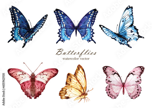 Set of Butterfly watercolor vector elements design