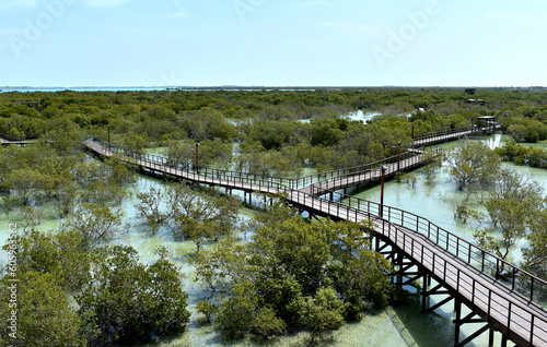 View of wooden boardwalk in Jubail Mangrove Park in Abu Dhabi photo