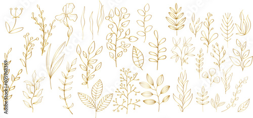 Set of golden floral branches and herbs silhouettes. Elegant botanic elements for wedding. Vector isolated spring gold flourish borders.