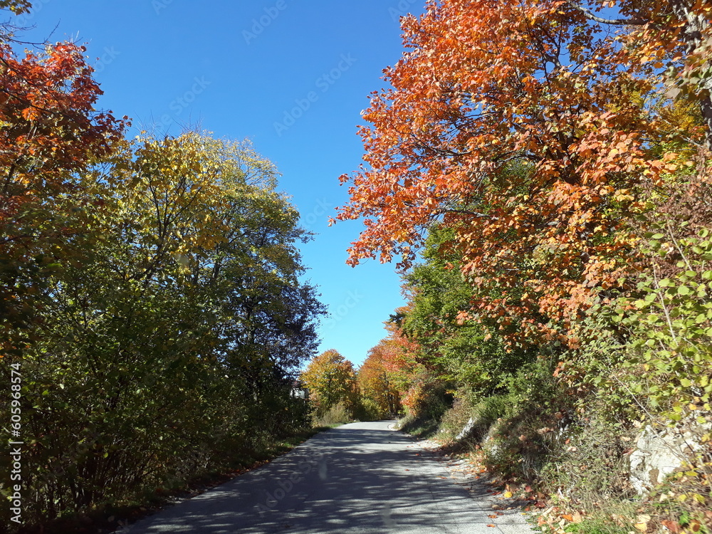 Naklejka premium Plitvice Park on a sunny autumn day in 2017