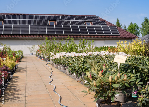 Organic greenhouse farm. Solar panels, energy saving, eco friendly organic farm. Flowering plants in a flower nursery. Plants.