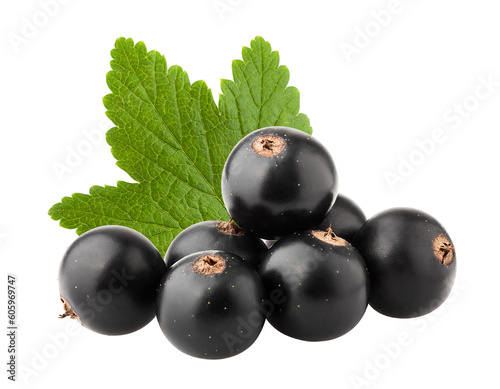Black currant isolated on white background, full depth of field