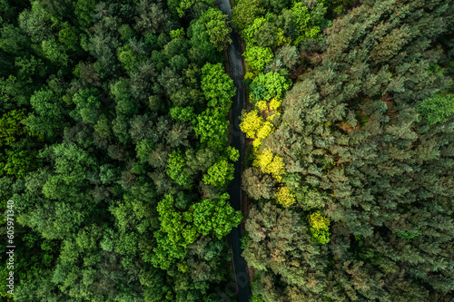 Aerial drone view of road trough green lush forest © marcin jucha