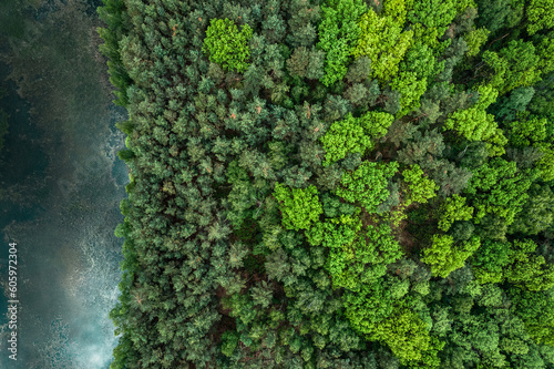 Aerial drone view of lake and green lush forest