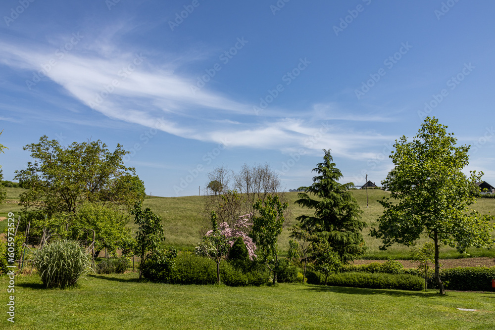 Calm and sunny day on countryside. Landscape with trees.