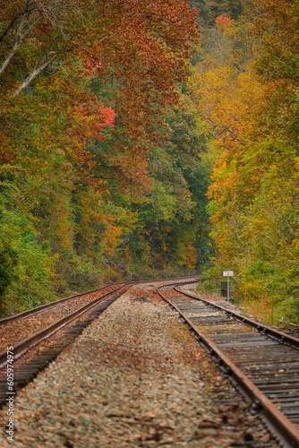 Idyllic shot of a railway track running through an autumnal forest, with vibrant colors of leaves