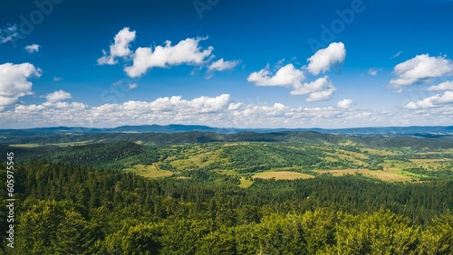 Aerial view of Bieszczady mountains on a sunny summer day in Poland