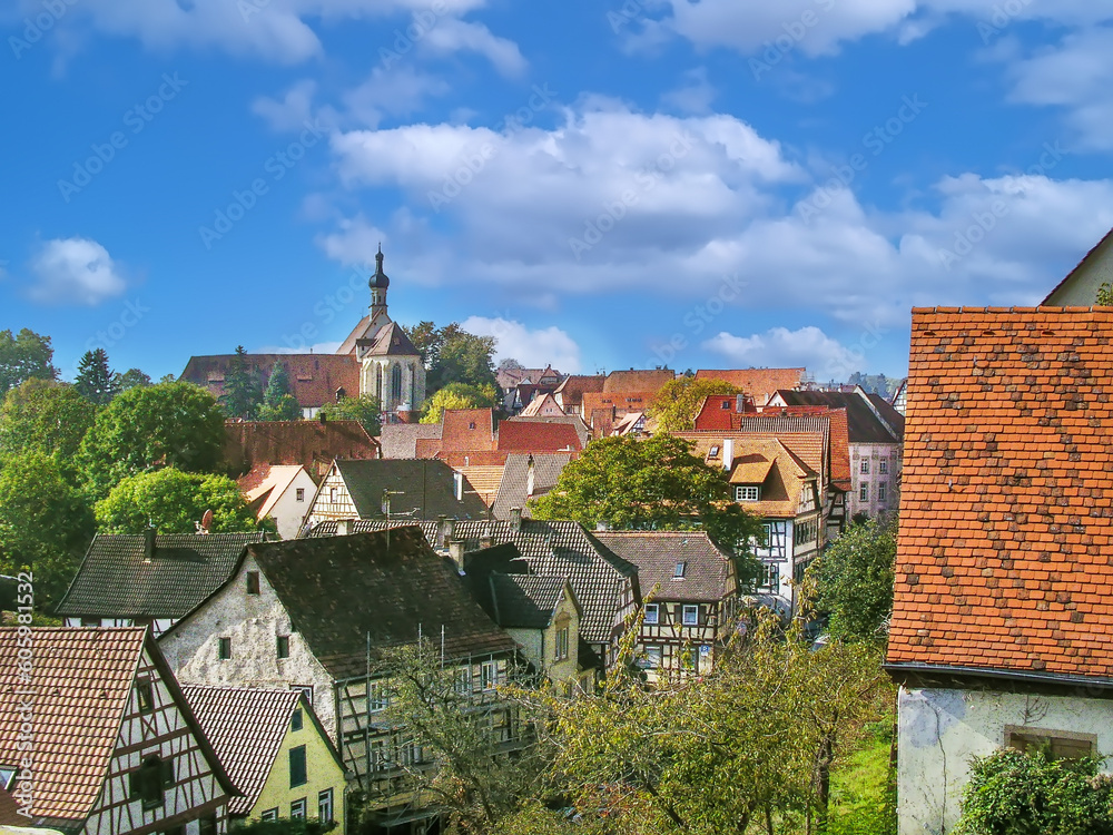 View of Bad Wimpfen, Germany