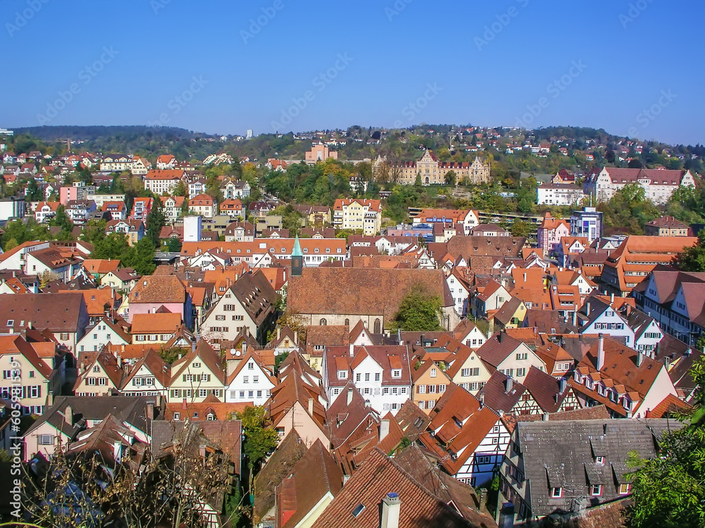 View of Tubingen, Germany
