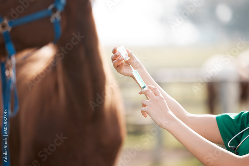 Hands, horse and a vet with a syringe on a farm for the treatment or cure of an animal disease. Healthcare, medical and agriculture with a female doctor working on a ranch for veterinary insurance photo