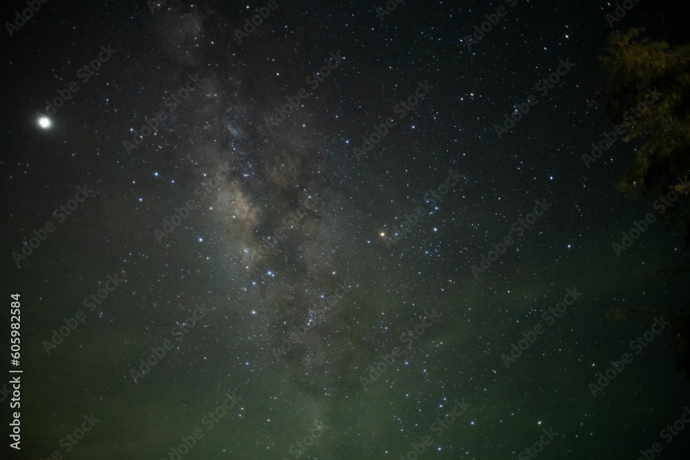Obraz premium View of a sky full of bright starts during the night.