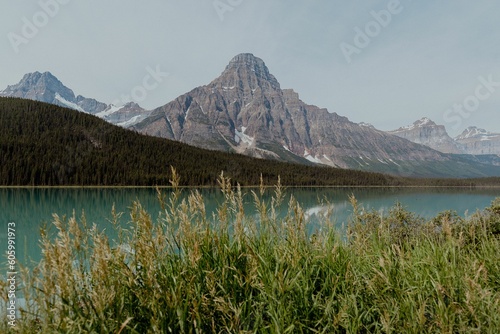 Stunning chephren waterfowl lake