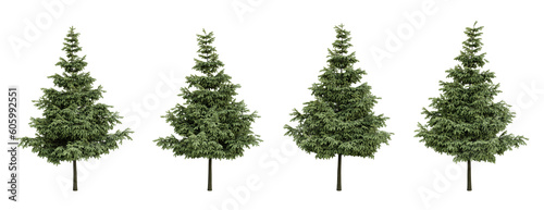 Foto Conifer trees on transparent background, pine tress, garden plant, 3d render illustration