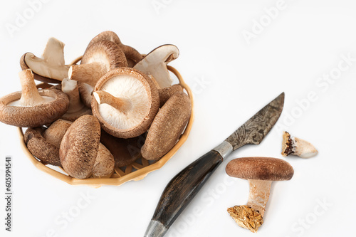 shiitake organic mushrooms in a basket and on a white background with an antique cutting knife. lentinula edible, Japanese forest mushroom photo