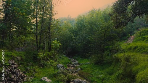 Gorgeous aerial view through a bright green forest with lush trees at Bandi Mera village in Pakistan photo