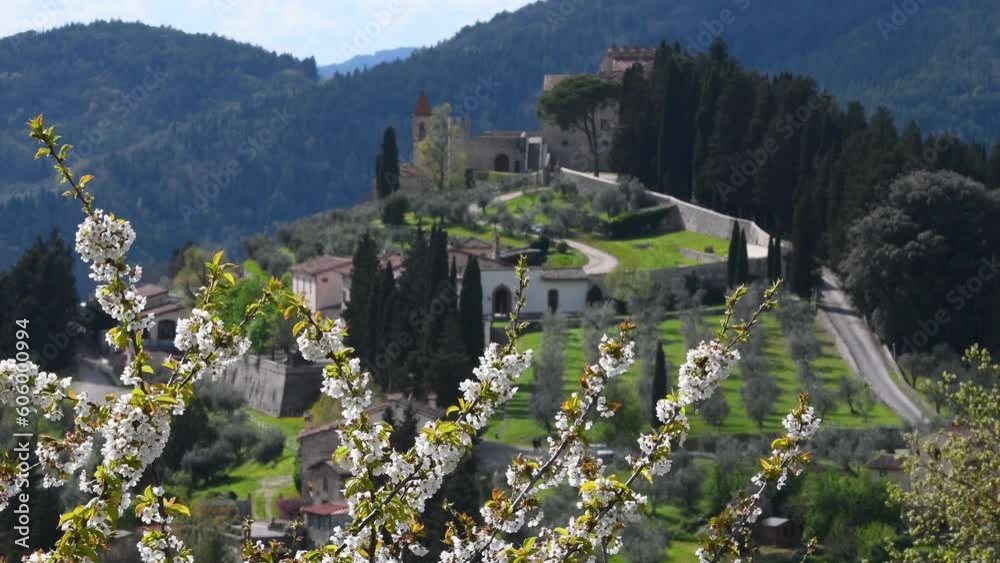 Flowering trees with olive trees and the medieval village of Nipozzano in the background at sunset. Chianti Classico area in Tuscany, Italy.