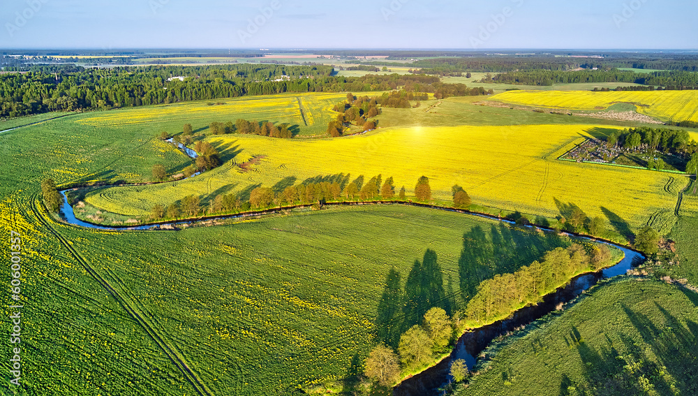 Spring morning landscape. Calm river in blooming meadows. Aerial rural view from above. Agricultural yellow green colza fields. Rapeseed blossom scene.