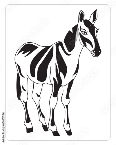 Cute okapi  Okapi Vector  Okapi illustration  Animals Coloring pages  Jungle Animals   Black and white