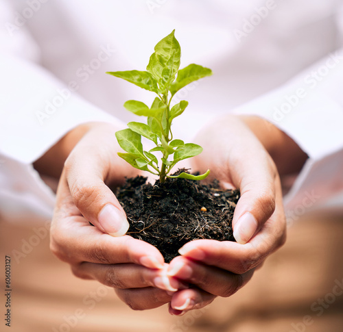Obraz na plátně Plant, business growth and woman hands for sustainability, startup and eco friendly investment, ngo or charity zoom