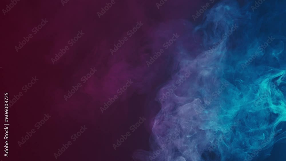 Fascinating movement of smoke in pink and blue neon light on a black background. Rolling smoke effect. Slow motion.