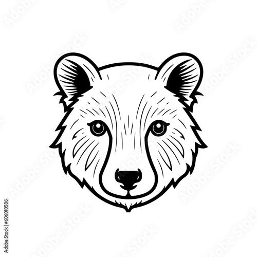Wombat head vector illustration isolated on transparent background