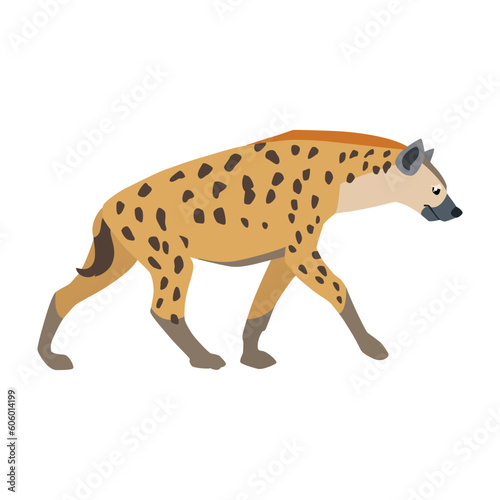 Animal illustration. Walking hyena drawn in a flat style. Isolated object on a white background. Vector 10 EPS