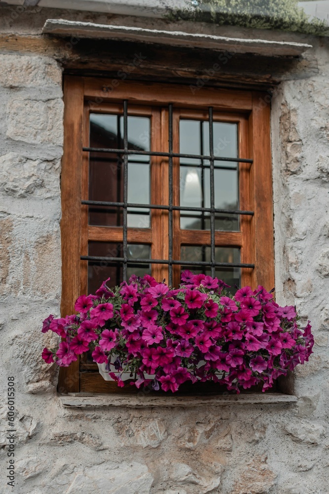Wooden window with Surfinia flowers on an old stone building with stone wall