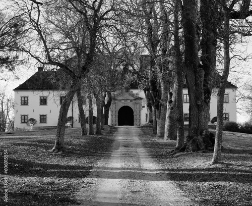 Monochrome shot of the narrow road leading to Tido castle in Sweden surrounded by trees