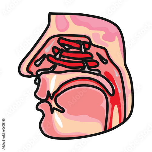 Nasopharynx vector icon.Color vector icon isolated on white background nasopharynx.