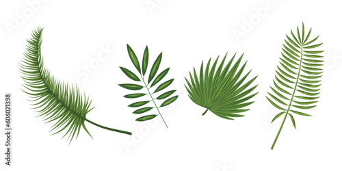 pack of palm leaves