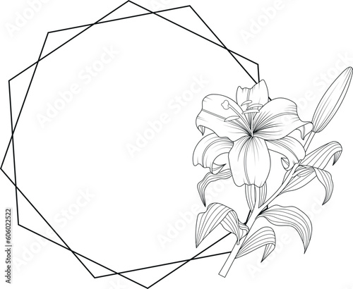 Botanical geometric frame. Lilie flower vector line art.