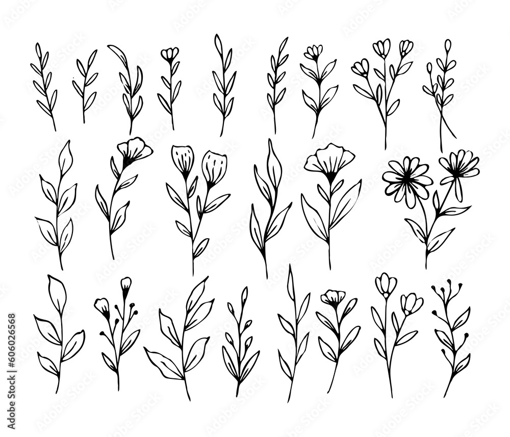 A collection of hand drawn leaves and flower decorative floral element A collection of hand drawn leaves and flower decorative floral element