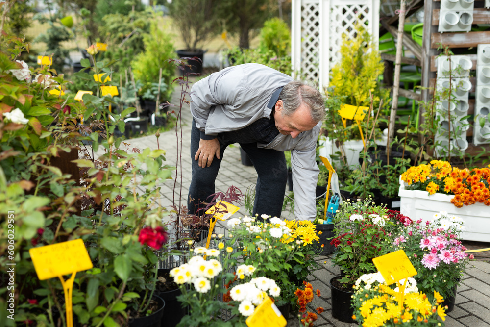 celebrating the new year at home. a man examines a flower celebrating the new year at home. a man examines a flower