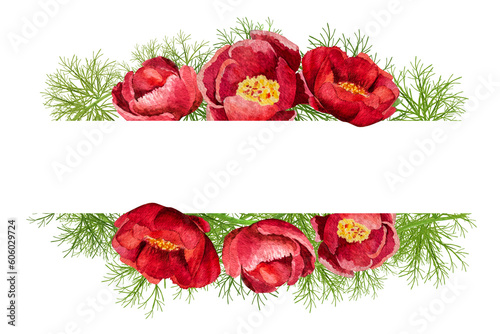 watercolor illustration of frame and card peonies thin-leaved on a white background