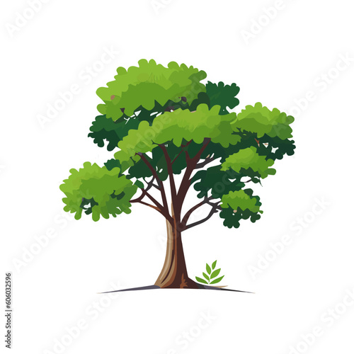 Set of flat stylized trees. Natural vector illustration. Side view