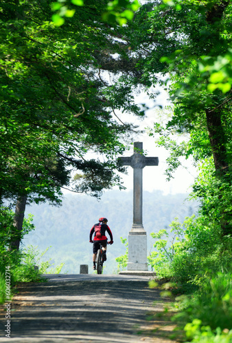 Augas cross in Fontainebleau forest photo