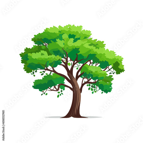 Set of flat stylized trees. Natural vector illustration. Side view © hmzstuff