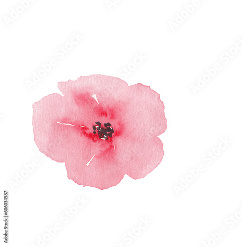 Red flower Botanical loose watercolor illustration Hand painted hand drawn Flowers and leaves Floral Png clipart Sublimation Plant graphic element
