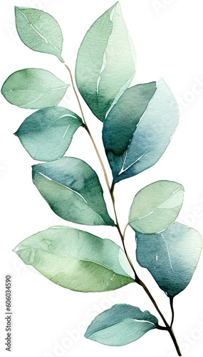beautiful watercolor leaves