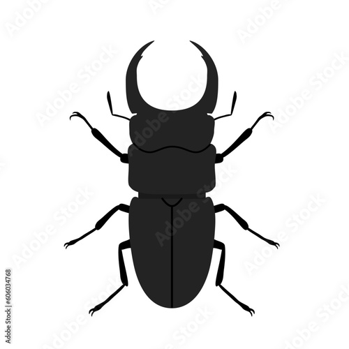 Stag beetle on white background