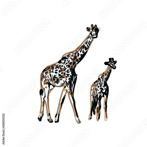 Canvas Print giraffe color sketch with transparent background