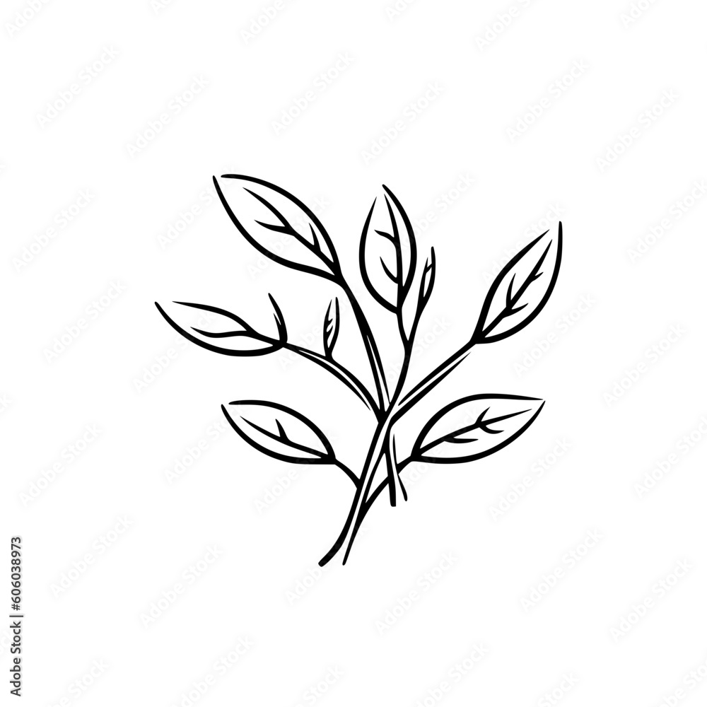 Twig vector illustration isolated on transparent background