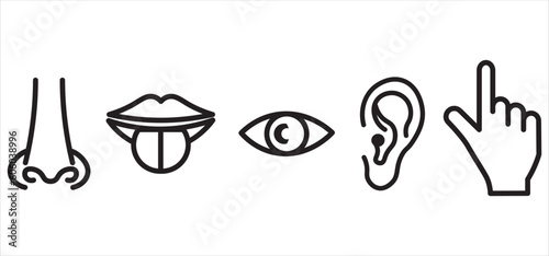 Sense organs: smell, sight, hearing, touch, taste icon vector, illustration, symbol