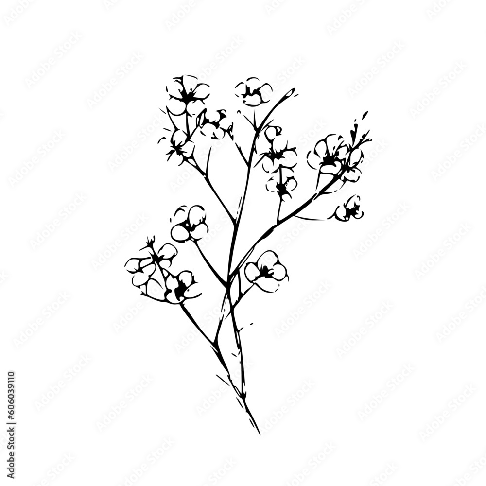 Twig vector illustration isolated on transparent background