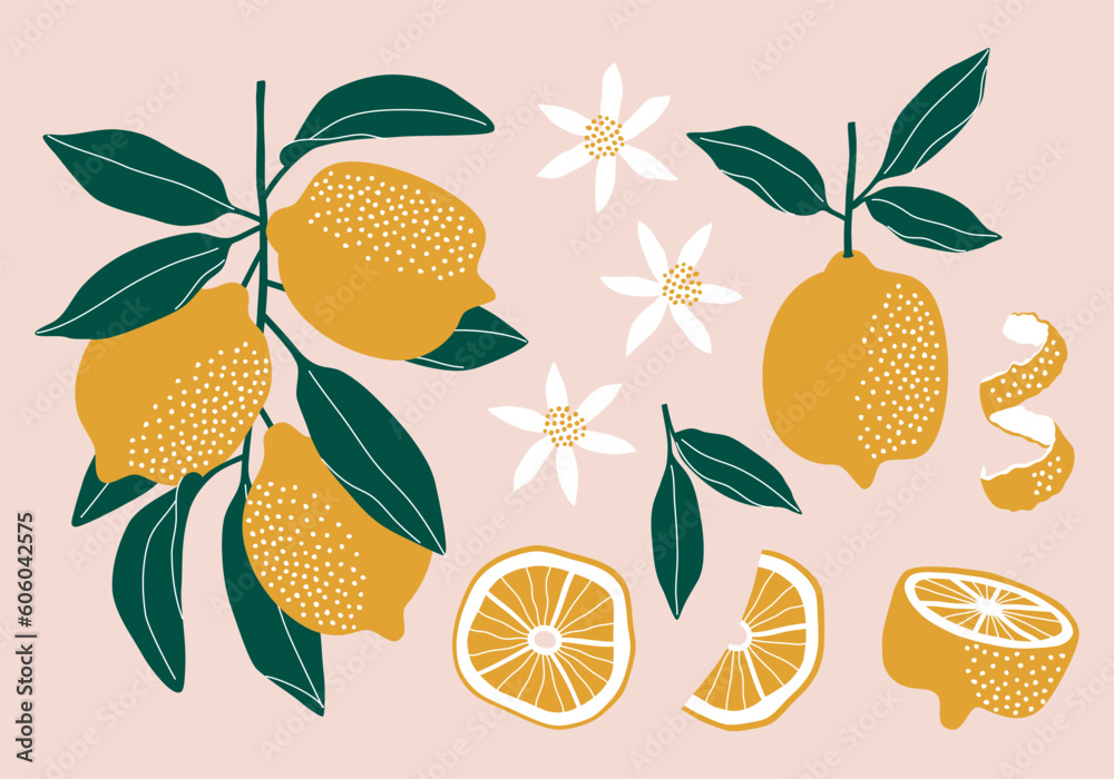 Set of lemons. Flower, leaves and fruit. Set of lemons. Flower, leaves and fruit.