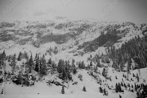 
Schneelandschaft in den Alpen photo